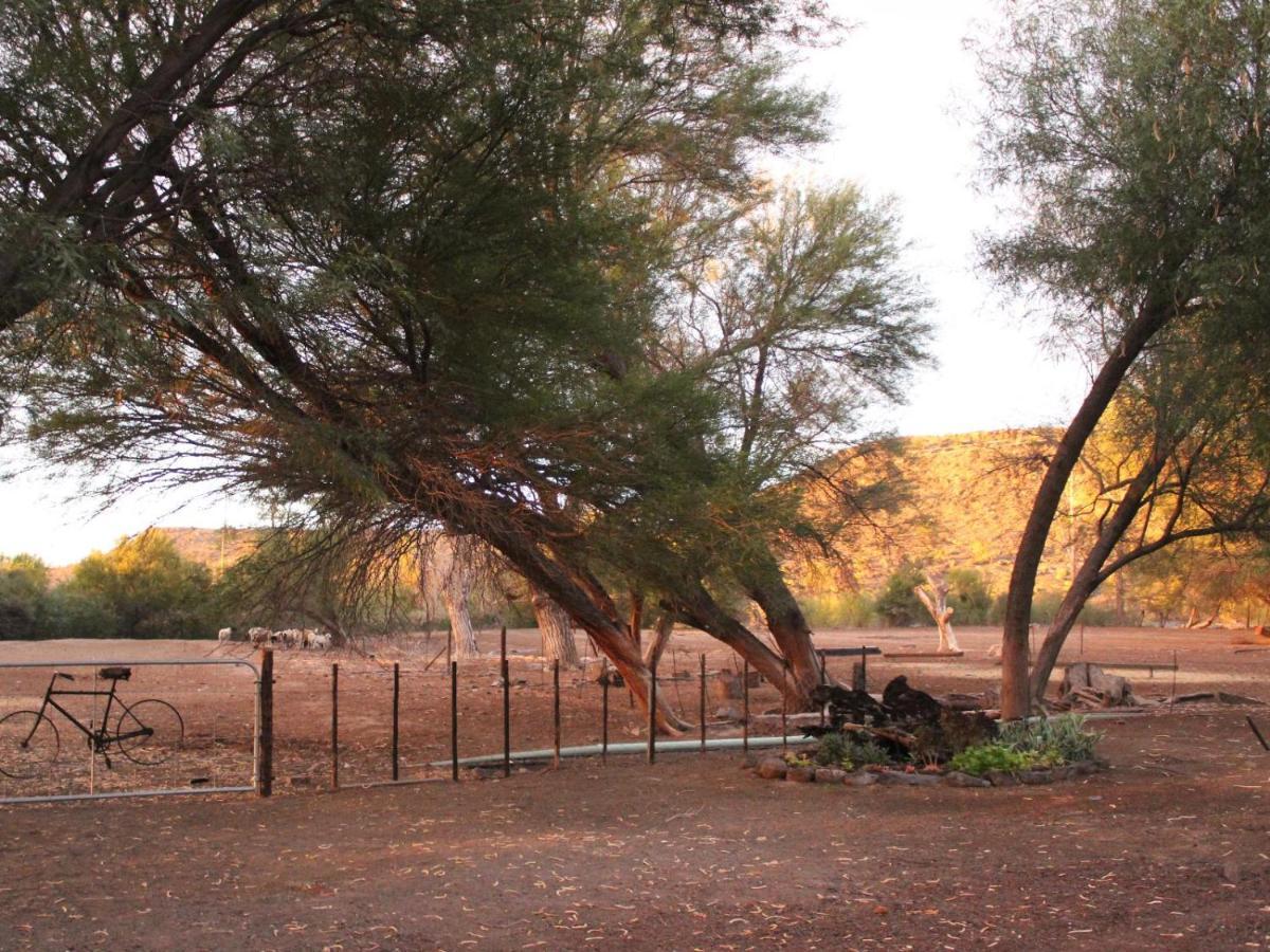 Quaggasfontein Gastehuis Beaufort West Luaran gambar